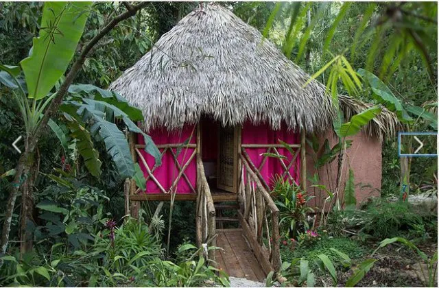 Samana Tropical Village Tree House Room